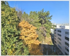  2024Ÿ111867 λ  ȣ 296-22       (Ӿ)