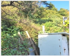  2024Ÿ111867 λ  ȣ 296-22       (Ӿ)