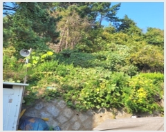  2024Ÿ111867 λ  ȣ 296-22       (Ӿ)