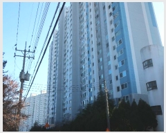  2024Ÿ114088 λ ؿ뱸  61, 103 121207ȣ (ݿ,żƮ)    Ʈ