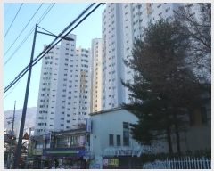  2024Ÿ114088 λ ؿ뱸  61, 103 121207ȣ (ݿ,żƮ)    Ʈ