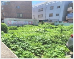  2024Ÿ��107837 �λ� ���屺 ������ ���θ� 278-9      ����(����)���