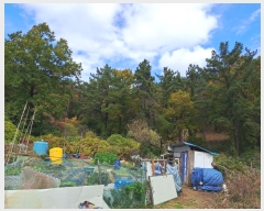  2024Ÿ111775 λ ؿ뱸 뵿 189       (Ӿ)