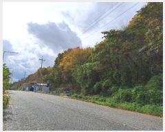  2024Ÿ111775 λ ؿ뱸 뵿 189       (Ӿ)