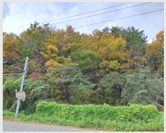  2024Ÿ111775 λ ؿ뱸 뵿 189       (Ӿ)