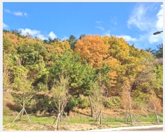  2024Ÿ111775 λ ؿ뱸 뵿 189       (Ӿ)