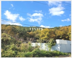  2024Ÿ111775 λ ؿ뱸 뵿 189       (Ӿ)