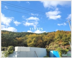  2024Ÿ111775 λ ؿ뱸 뵿 189       (Ӿ)