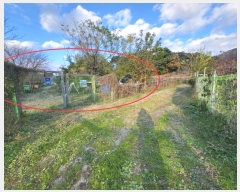  2024Ÿ��112716  ����