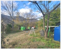  2024Ÿ��112716  ����