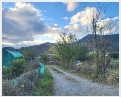  2024Ÿ��112716  ����