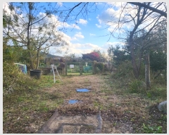  2024Ÿ��112716  ����