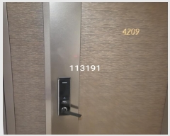  2024Ÿ113191 λ ؿ뱸 Ƽ2 33, 101 424209ȣ (쵿,ؿλϽ)    Ʈ