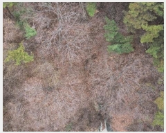  2024Ÿ��113597 �λ� ������ ���̵� ��114       ����(�Ӿ�)���