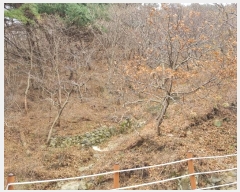  2024Ÿ��113597 �λ� ������ ���̵� ��114       ����(�Ӿ�)���