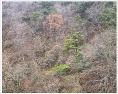  2024Ÿ��113597 �λ� ������ ���̵� ��114       ����(�Ӿ�)���