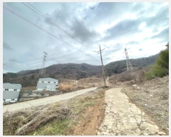  2024Ÿ394 λ 屺  ޻긮 419-1      (Ӿ)