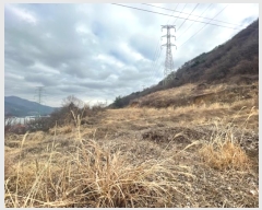  2024Ÿ394 λ 屺  ޻긮 419-1      (Ӿ)