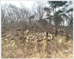  2024Ÿ394 λ 屺  ޻긮 419-1      (Ӿ)