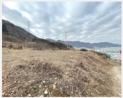  2024Ÿ394 λ 屺  ޻긮 419-1      (Ӿ)