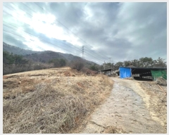  2024Ÿ394 λ 屺  ޻긮 419-1      (Ӿ)