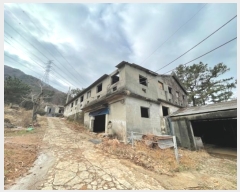  2024Ÿ394 λ 屺  ޻긮 419-1      (Ӿ)