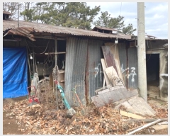  2024Ÿ394 λ 屺  ޻긮 419-1      (Ӿ)