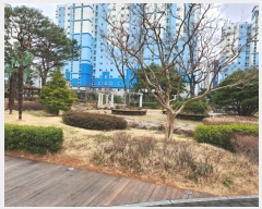  2024Ÿ��974  ����Ʈ���