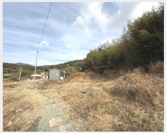  2024Ÿ��7005  ����