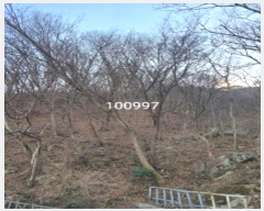  2024Ÿ100997 λ 屺   135-2      (Ӿ)