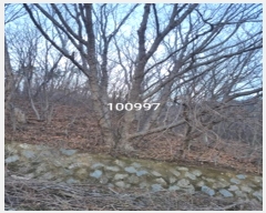  2024Ÿ100997 λ 屺   135-2      (Ӿ)
