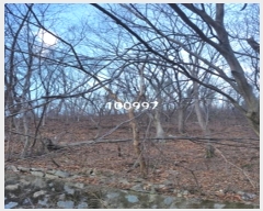  2024Ÿ100997 λ 屺   135-2      (Ӿ)