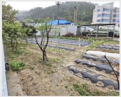  2024Ÿ��103712  �����