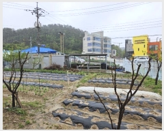  2024Ÿ��103712  �����