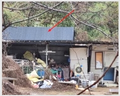  2024Ÿ783 λ 屺 ϱ Ｚ 534      ()