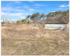  2024Ÿ783 λ 屺 ϱ Ｚ 534      ()