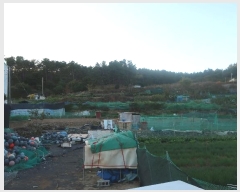  2024Ÿ6415 λ 屺 ϱ  13-13      (Ӿ)