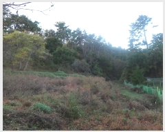  2024Ÿ6415 λ 屺 ϱ  13-13      (Ӿ)