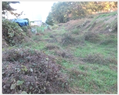  2024Ÿ6415 λ 屺 ϱ  13-13      (Ӿ)