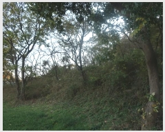  2024Ÿ6415 λ 屺 ϱ  13-13      (Ӿ)