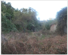  2024Ÿ6415 λ 屺 ϱ  13-13      (Ӿ)