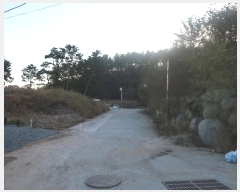  2024Ÿ6415 λ 屺 ϱ  13-13      (Ӿ)