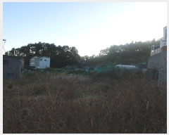  2024Ÿ6415 λ 屺 ϱ  13-13      (Ӿ)