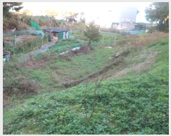  2024Ÿ6415 λ 屺 ϱ  13-13      (Ӿ)