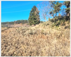  2024Ÿ6682 λ 屺  µ 138-2      ()