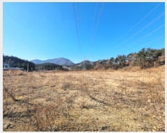  2024Ÿ6682 λ 屺  µ 138-2      ()