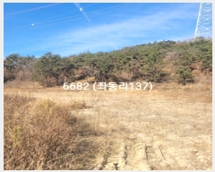  2024Ÿ6682 λ 屺  µ 138-2      ()