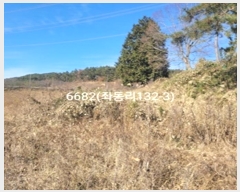  2024Ÿ6682 λ 屺  µ 138-2      ()