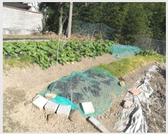  2024Ÿ6835 λ 屺   662      ð