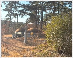  2024Ÿ��6941 �λ� ���屺 ����� �ݷ渮 ��30-1      ����(�Ӿ�)���